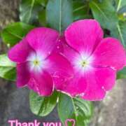 ヒメ日記 2025/07/08 18:00 投稿 このは モアグループ川越人妻花壇