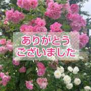 ヒメ日記 2025/07/11 18:04 投稿 このは モアグループ川越人妻花壇