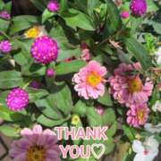 ヒメ日記 2025/07/12 17:47 投稿 このは モアグループ川越人妻花壇