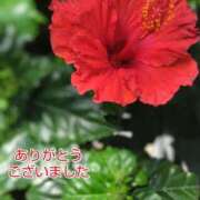 ヒメ日記 2025/07/15 17:45 投稿 このは モアグループ川越人妻花壇