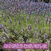 ヒメ日記 2025/07/16 17:41 投稿 このは モアグループ川越人妻花壇