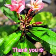 ヒメ日記 2025/07/22 15:30 投稿 このは モアグループ川越人妻花壇