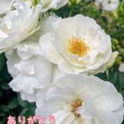 ヒメ日記 2025/07/28 16:53 投稿 このは モアグループ川越人妻花壇