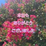 ヒメ日記 2025/07/31 17:24 投稿 このは モアグループ川越人妻花壇