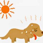 ヒメ日記 2025/08/05 18:19 投稿 このは モアグループ川越人妻花壇