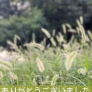 ヒメ日記 2025/08/08 16:10 投稿 このは モアグループ川越人妻花壇