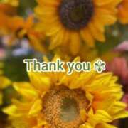 ヒメ日記 2025/08/13 17:00 投稿 このは モアグループ川越人妻花壇