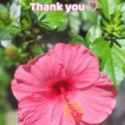 ヒメ日記 2025/08/15 17:10 投稿 このは モアグループ川越人妻花壇