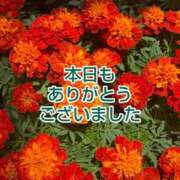 ヒメ日記 2025/08/19 16:20 投稿 このは モアグループ川越人妻花壇