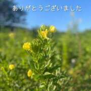 ヒメ日記 2025/08/21 17:20 投稿 このは モアグループ川越人妻花壇