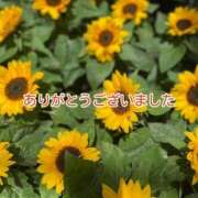 ヒメ日記 2025/08/27 17:40 投稿 このは モアグループ川越人妻花壇