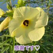 ヒメ日記 2025/08/29 16:52 投稿 このは モアグループ川越人妻花壇