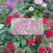 ヒメ日記 2025/08/30 18:06 投稿 このは モアグループ川越人妻花壇