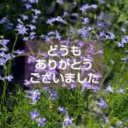 ヒメ日記 2025/09/02 17:45 投稿 このは モアグループ川越人妻花壇