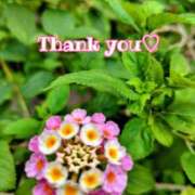 ヒメ日記 2025/09/03 17:25 投稿 このは モアグループ川越人妻花壇