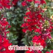 ヒメ日記 2025/09/04 20:17 投稿 このは モアグループ川越人妻花壇