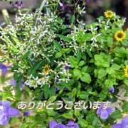 ヒメ日記 2025/09/13 17:55 投稿 このは モアグループ川越人妻花壇