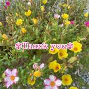 ヒメ日記 2025/09/15 16:30 投稿 このは モアグループ川越人妻花壇