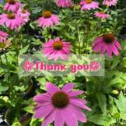 ヒメ日記 2025/09/19 17:53 投稿 このは モアグループ川越人妻花壇