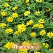 ヒメ日記 2025/09/22 19:05 投稿 このは モアグループ川越人妻花壇