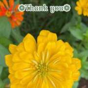 ヒメ日記 2025/10/02 18:55 投稿 このは モアグループ川越人妻花壇