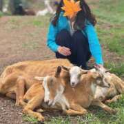 ヒメ日記 2025/10/05 21:58 投稿 このは モアグループ川越人妻花壇