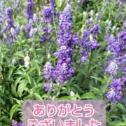 ヒメ日記 2025/10/06 17:30 投稿 このは モアグループ川越人妻花壇