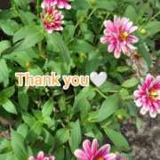 ヒメ日記 2025/10/07 17:53 投稿 このは モアグループ川越人妻花壇