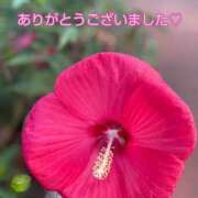 ヒメ日記 2025/10/09 12:54 投稿 このは モアグループ川越人妻花壇