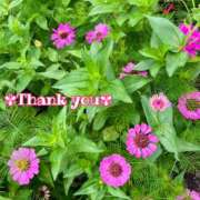 ヒメ日記 2025/10/11 19:19 投稿 このは モアグループ川越人妻花壇