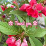 ヒメ日記 2025/10/15 14:06 投稿 このは モアグループ川越人妻花壇