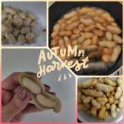 ヒメ日記 2025/10/18 20:48 投稿 このは モアグループ川越人妻花壇