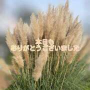 ヒメ日記 2025/10/20 18:18 投稿 このは モアグループ川越人妻花壇