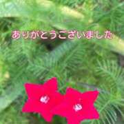 ヒメ日記 2025/10/25 19:20 投稿 このは モアグループ川越人妻花壇