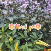 ヒメ日記 2025/10/28 16:43 投稿 このは モアグループ川越人妻花壇