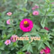 ヒメ日記 2025/11/03 17:48 投稿 このは モアグループ川越人妻花壇