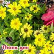 ヒメ日記 2025/11/04 17:35 投稿 このは モアグループ川越人妻花壇