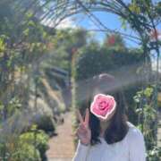 ヒメ日記 2025/11/09 22:13 投稿 このは モアグループ川越人妻花壇