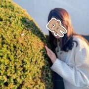 ヒメ日記 2025/11/10 22:36 投稿 このは モアグループ川越人妻花壇