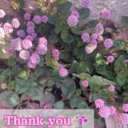 ヒメ日記 2025/11/12 16:58 投稿 このは モアグループ川越人妻花壇