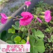 ヒメ日記 2025/11/17 18:38 投稿 このは モアグループ川越人妻花壇