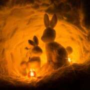 ヒメ日記 2025/11/20 19:12 投稿 このは モアグループ川越人妻花壇