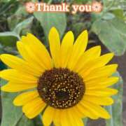 ヒメ日記 2025/11/24 18:44 投稿 このは モアグループ川越人妻花壇