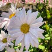 ヒメ日記 2025/11/25 17:08 投稿 このは モアグループ川越人妻花壇