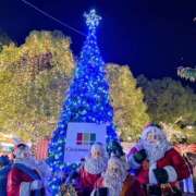 ヒメ日記 2025/11/26 21:29 投稿 このは モアグループ川越人妻花壇