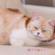 ヒメ日記 2025/11/28 20:10 投稿 このは モアグループ川越人妻花壇