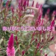 ヒメ日記 2025/12/01 17:15 投稿 このは モアグループ川越人妻花壇