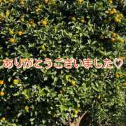 このは 答えわからず… モアグループ川越人妻花壇