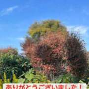 このは ハメが甘いと… モアグループ川越人妻花壇