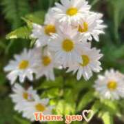 ヒメ日記 2025/12/16 18:02 投稿 このは モアグループ川越人妻花壇